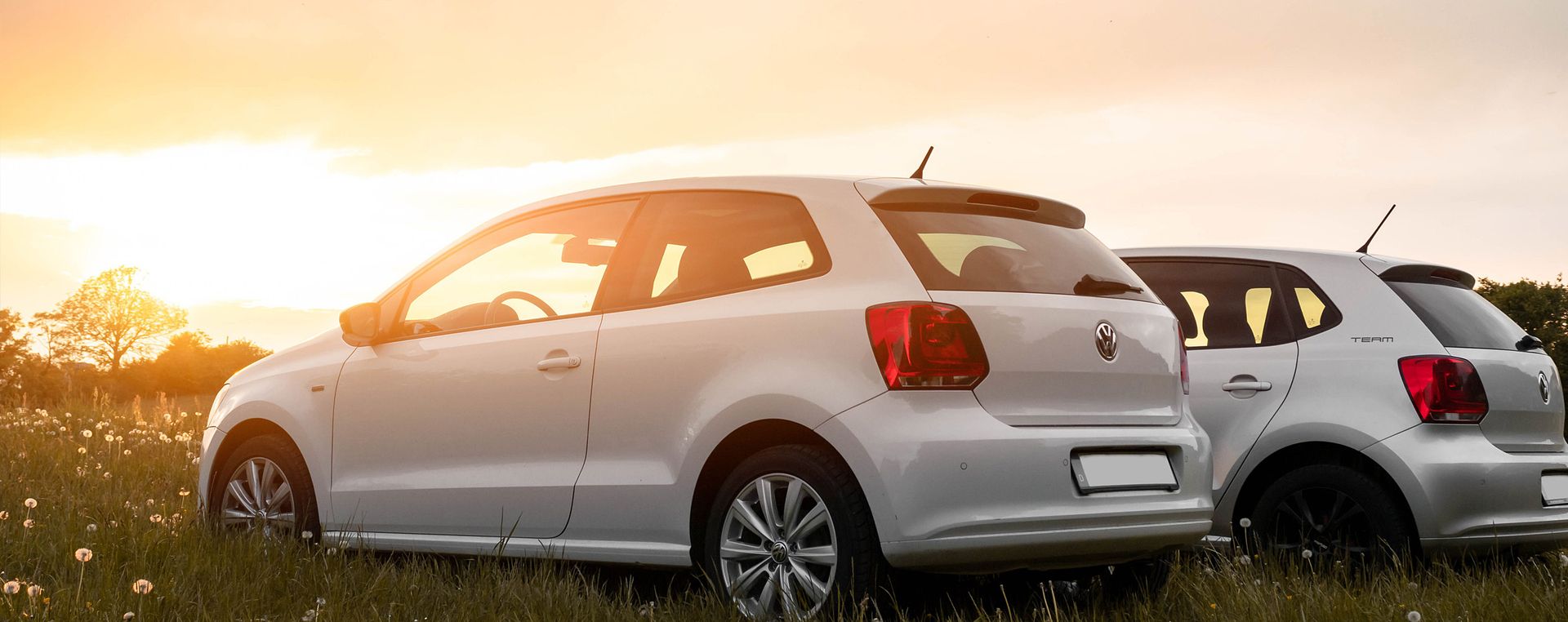 Fahrzeuge auf einer Wiese von der Marke Volkswagen